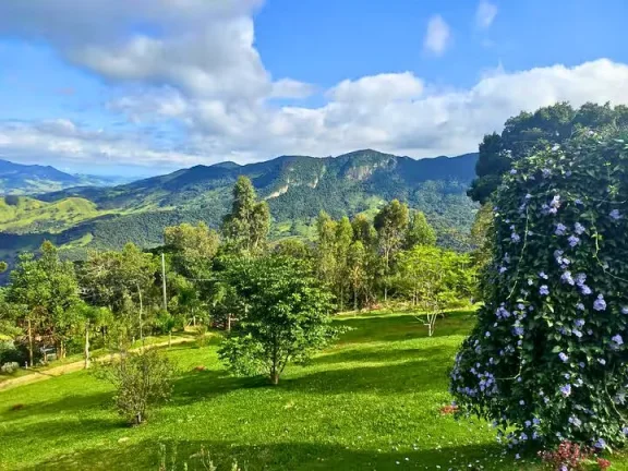 Imagem Exclusividade e Natureza: O Refúgio Definitivo no Coração do Paiol Grande