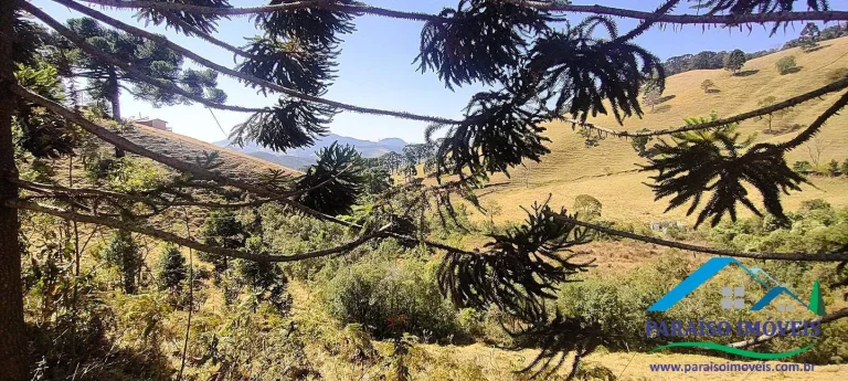 Imagem Conecte-se à Natureza: Terreno Rural com Nascente e Vista Panorâmica!
