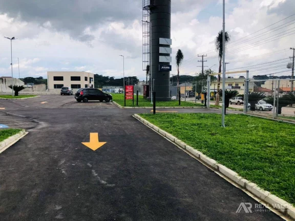 Imagem Comercial, Eucaliptos - Fazenda Rio Grande