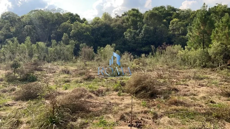 Imagem Excelente terreno em Itaara!