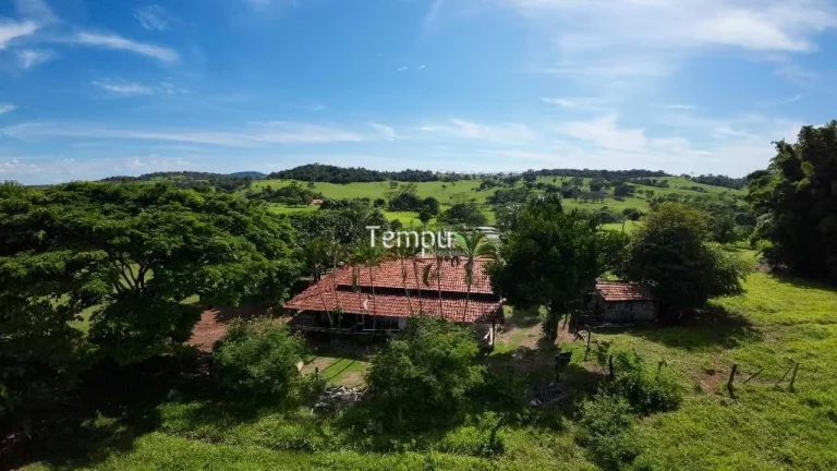 Imagem Fazenda 3 alqueires em Anicuns - Excelente para plantio