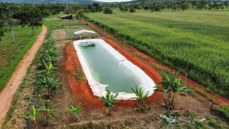 Imagem Oportunidade Única! Fazenda de Alto Potencial em Várzea da Palma - Conheça Agora!