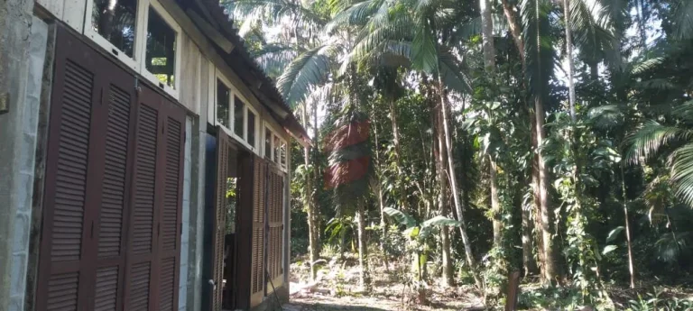 Imagem CHÁCARA com 2 dormitórios à venda com 16000m² por R$ 375.000,00 no bairro Rio do Nunes - ANTONINA / PR