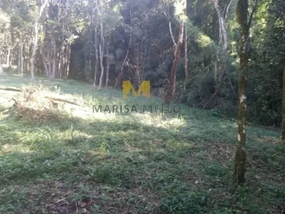 Imagem Chácara, 7000m2, à venda no Recreio da Serra em Piraquara!!!