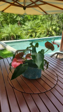 Imagem Casa alto padrão localizada em Praia do Forte condomínio com acesso ao mar Praia Bella.