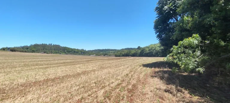 Foto do imóvel: Chácara à venda em Cascavel - São Salvador - Lavoura e Rio