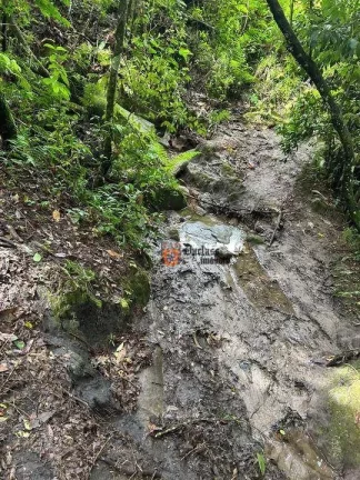 Imagem Terreno à venda, 20000 m² por R$ 400.000,00 - São Mateus - Camanducaia/MG