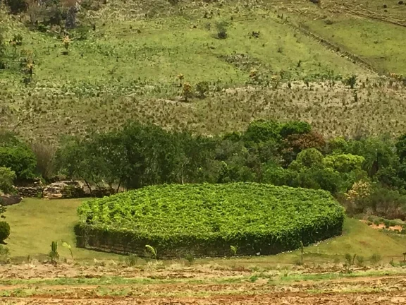Imagem Um território extraordinário na Mantiqueira. Natureza, espetáculo e visão de futuro.