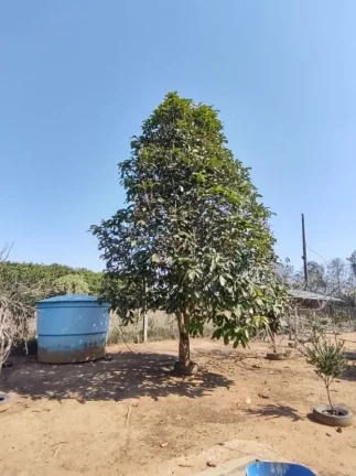 Imagem Chácara com 3 dormitórios à venda, 10 m² por R$ 1.200.000,00 - Taiacupeba - Mogi das Cruzes/SP