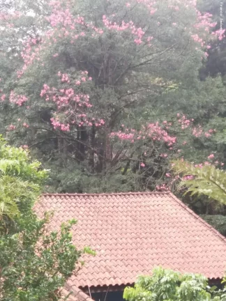 Imagem Sítio para Venda em Ribeirão Pires, Somma, 3 dormitórios, 1 suíte, 2 banheiros, 10 vagas