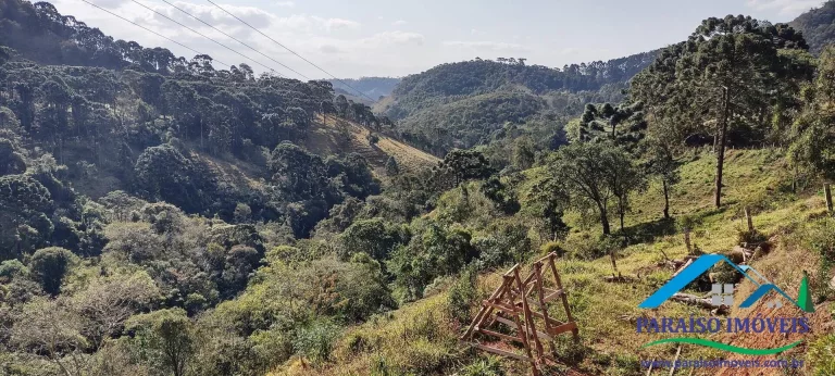 Imagem Charmoso Chalé em Gonçalves – Um Refúgio de Conforto e Beleza!