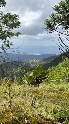 Imagem Terreno com 2 Dormitorio(s) localizado(a) no bairro Mato Comprido em Morro Reuter / RIO GRANDE DO SUL Ref.:1571