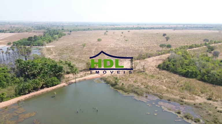 Imagem Fazenda de OPORTUNIDADE Dupla Aptidão em Peixe do Tocantins