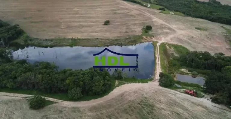 Fazenda em Pires do Rio com 75 Alqs em Lavouras.