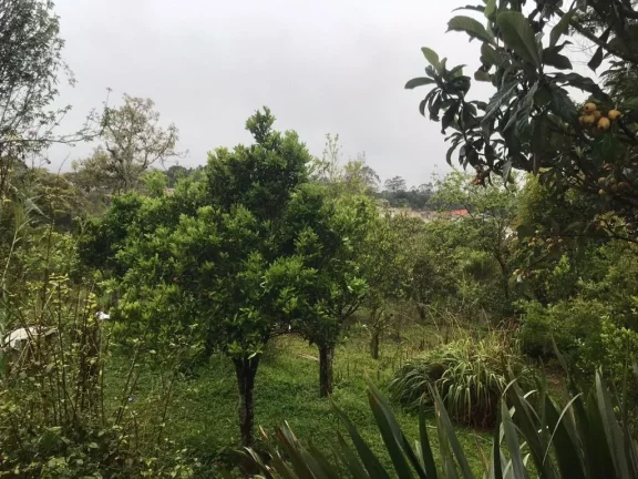 Imagem Chácara com 4 dormitórios à venda, 8 m² por R$ 700.000,00 - Jardim das Lavras - Suzano/SP