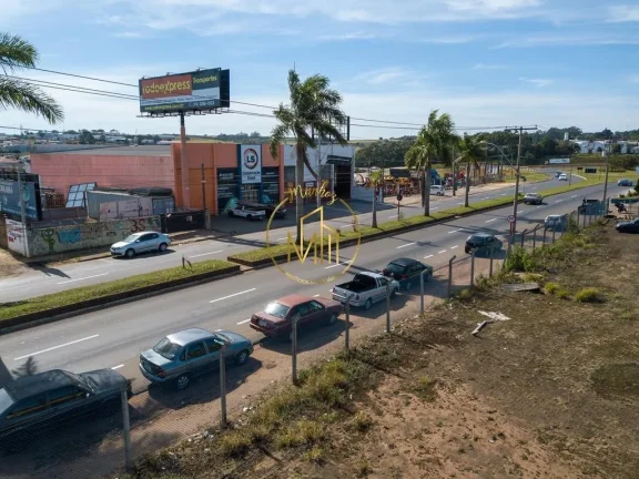 Terreno para Venda em São Carlos, Recreio São Judas Tadeu