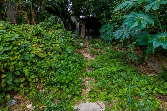 Imagem TERRENO RESIDENCIAL em São Paulo - SP, Piqueri