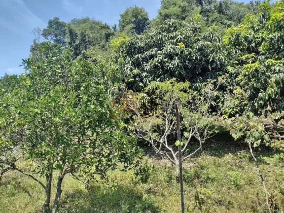 Imagem Sítio CONCÓRDIA - SC