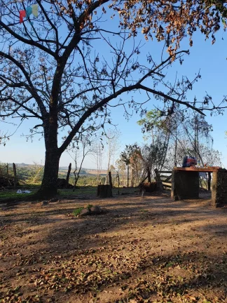 Imagem Sitio com 7 alqueires paulista Tatuí SP