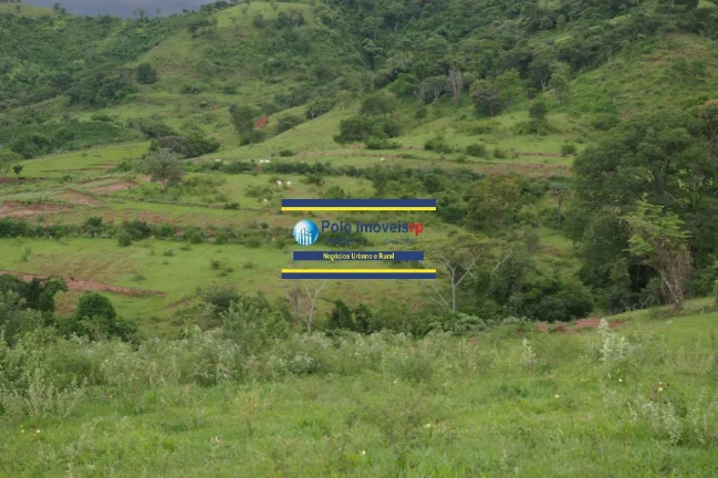 Imagem Fazenda 40 alqueires com estrutura, casa, água, energia, altitude para plantar café e gado, cidade Santo Antônio da Alegria - SP