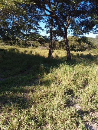 Imagem Fazenda à Venda em Faina - 237 Alqueires de Oportunidade!