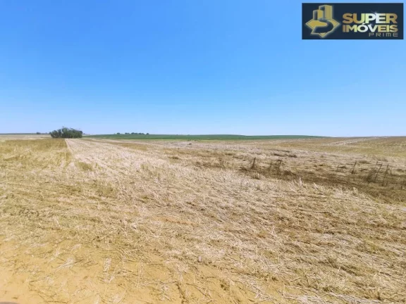 Imagem Fazenda de Excelência no RS 2.100 hectares Cachoeira do Sul