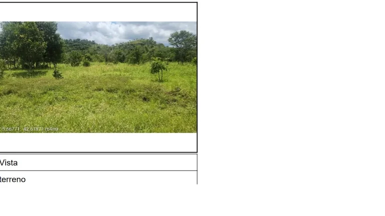 Oportunidade Única em MONSENHOR GIL - PI | Tipo: Terreno | Negociação: Venda Direta Online | Situação: Imóvel