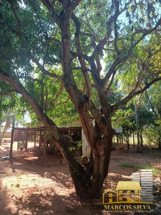 Imagem Chácara com 3 Quartos à Venda, em Portal das Araras - Três Lagoas