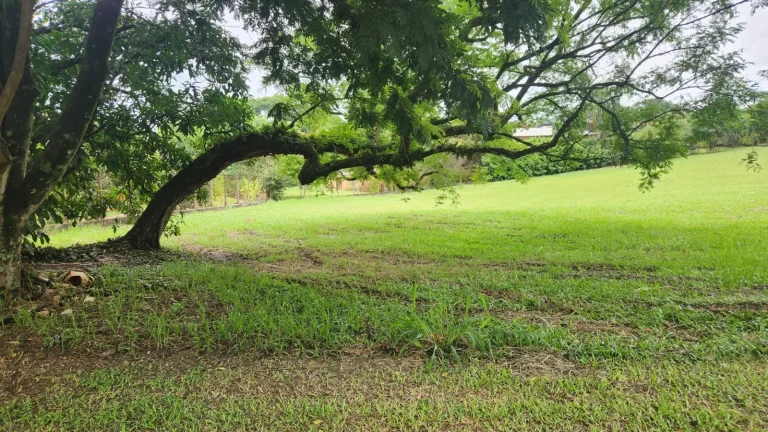 Imagem ? Lote de 3.070 m² no Condomínio City Castelo