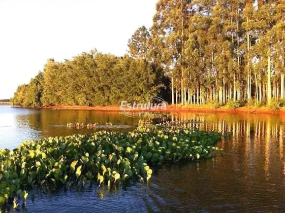 Imagem Ótima área rural com 145 hectares