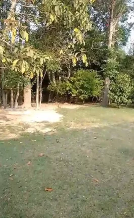 Imagem CHÁCARA LOCALIZADA NO TURVO DOS ANTUNES - PILAR DO SUL - SP
