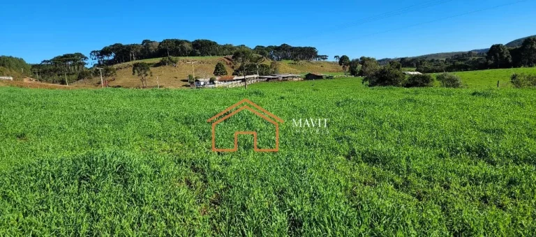 Imagem FAZENDA RURAL em CERRO NEGRO - SC, Interior