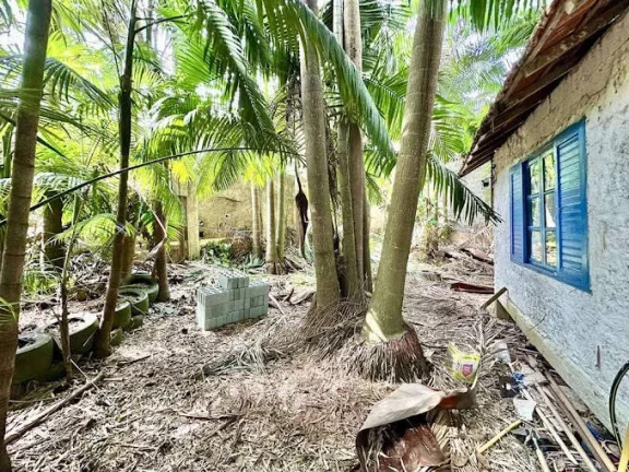 Imagem R Nova Amazonas / Miolo da Granja - LOTE 1.200m² c/ LOFT bem rústico!