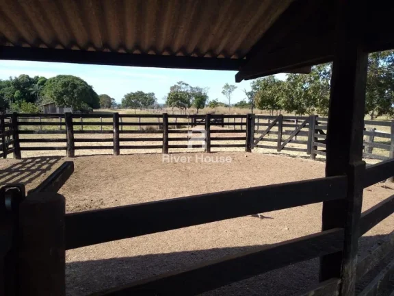 Imagem Fazenda à venda finalidade pecuaria formada, localizada na Região do Rio Manso , Chapada dos Guimarães - MT