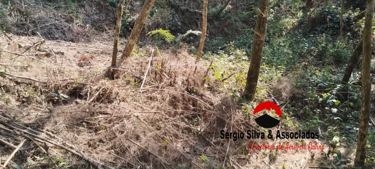 Imagem Terreno a Venda na Região do Alto da Boa Vista em Campos do Jordão -SP.