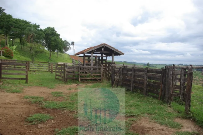 Imagem Fazenda em Cajuru 65,2254 alqueires com 35 alqueires em cana - a 78 km de Ribeirão Preto - SP sentido Casa Branca