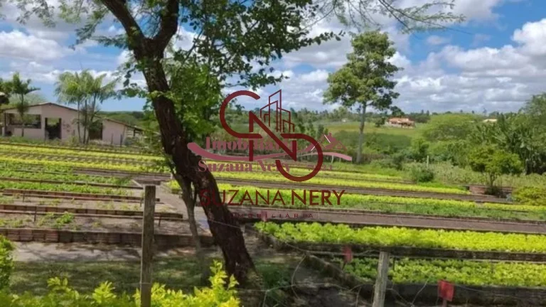 Imagem TERRENO COM 750M² NO CONDOMÍNIO FAZENDA REAL I E II