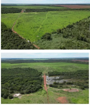 Imagem FAZENDA PRODUTIVA A VENDA MATO GROSSO.