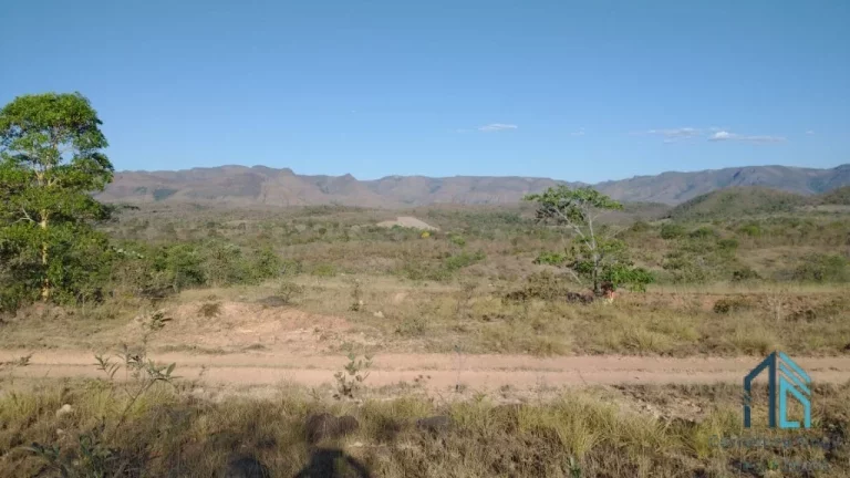 Imagem Fazenda a venda Oportunidade Única em Niquelândia Goiás- GO