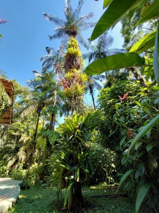 Imagem Linda oportunidade ao meio da natureza no sertão do cambury