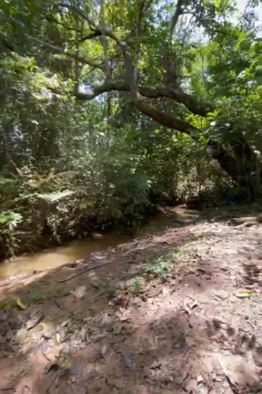 Imagem Fazenda à Venda – 117,3 Hectares em Luziânia-GO