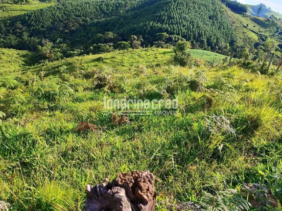 Imagem Chácara à venda 744000M², Zona Rural, Castro - PR