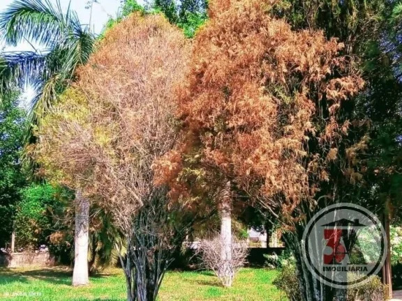 Imagem Linda Chácara 5000m2 no Jd. Santana