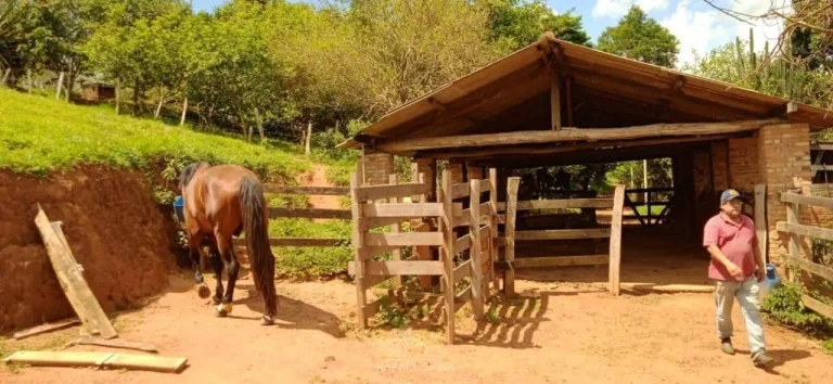 Imagem Sítio à venda no bairro Canedos - Piracaia/SP