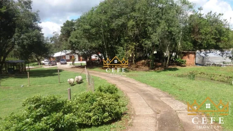 Imagem Chácara - Sítio com 3 Dormitorio(s) localizado(a) no bairro Padre Eterno Ilges em Santa Maria do Herval / RIO GRANDE DO SUL Ref.:1014