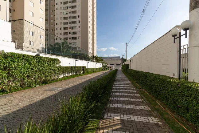 Imagem Apartamento com 2 Quartos à Venda, 42 m² em água Branca - São Paulo