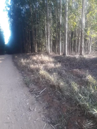 Imagem Área á venda em São Pedro, Bairro Tanquã, com 2 alqueires e 18.000m² - Atual.20-10-25