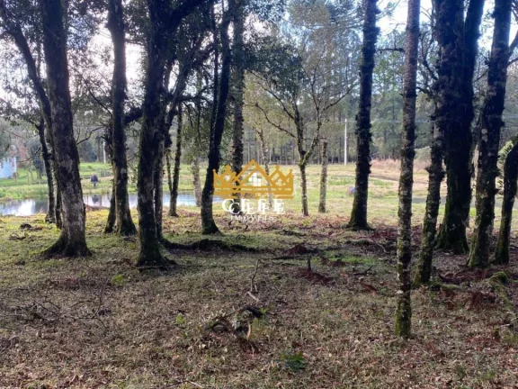 Imagem Chácara - Sítio com 1 Dormitorio(s) localizado(a) no bairro Serra Grande em Igrejinha / RIO GRANDE DO SUL Ref.:1388
