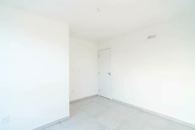 Imagem Corais do Atlântico