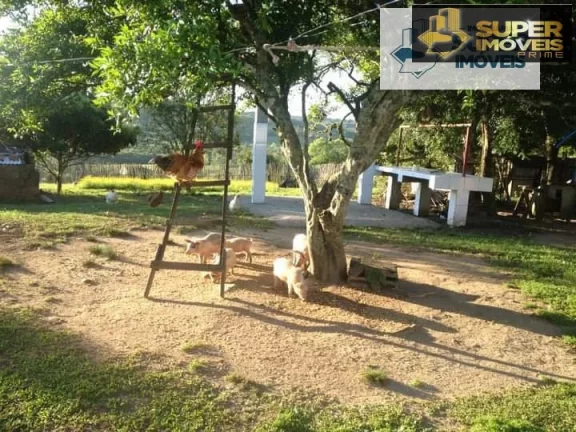Imagem Sítio para Venda em Centro Morro Redondo-RS - 1645